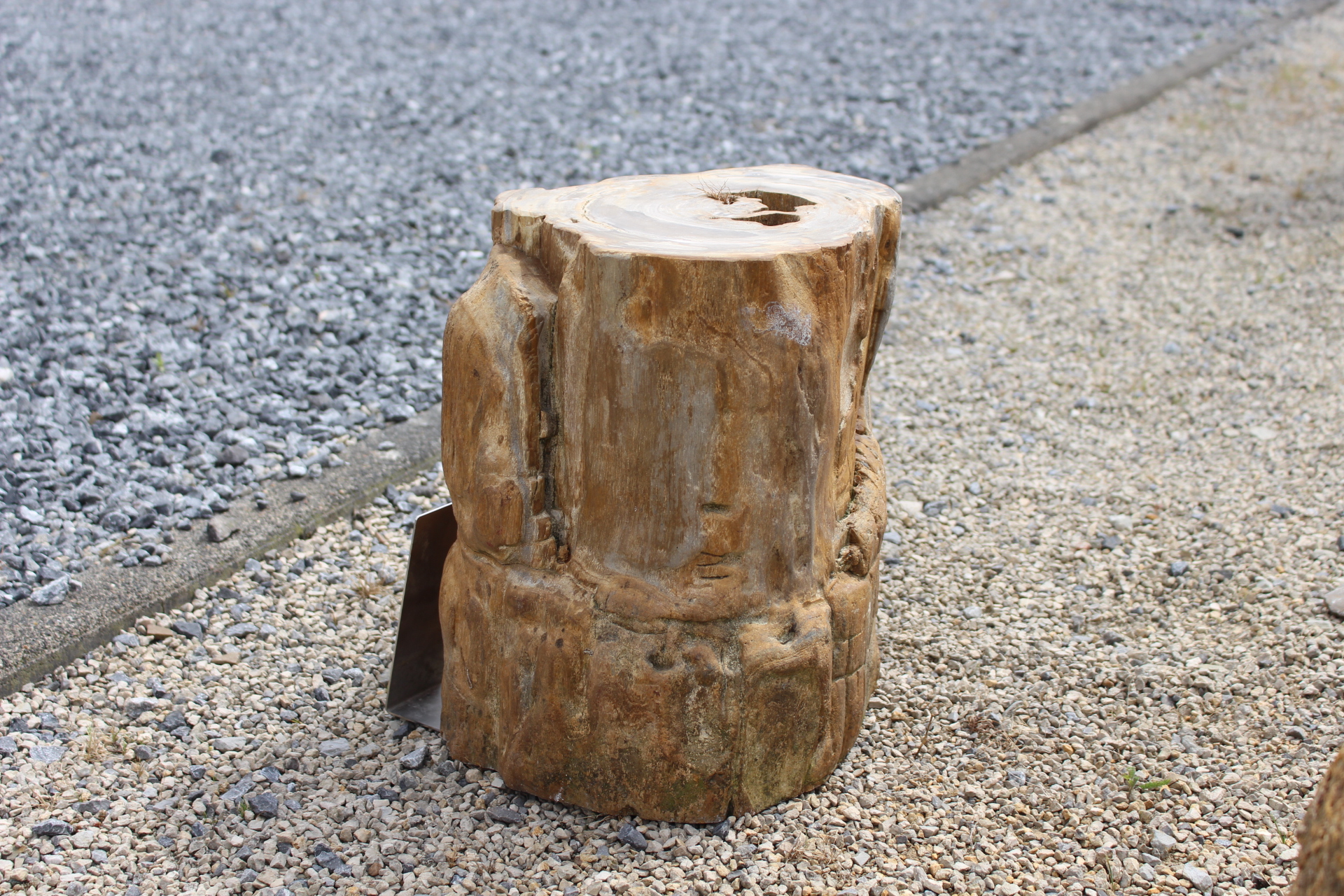 Versteinertes Holz ca. 35x25x34cm